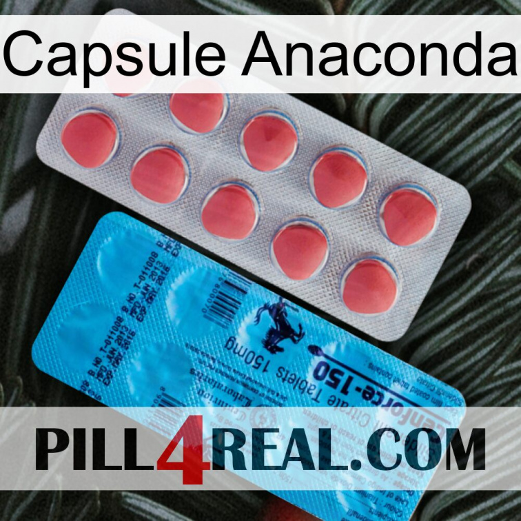 Anaconda Capsule new14